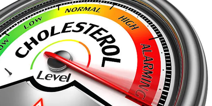 High Cholesterol: Causes, Complications & Home Remedies