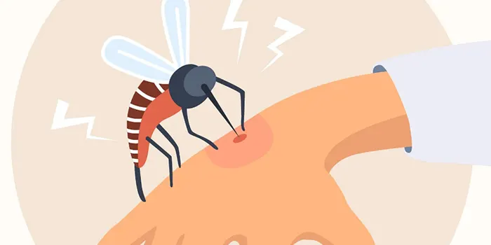 डेंगू के इलाज का घरेलू उपाय